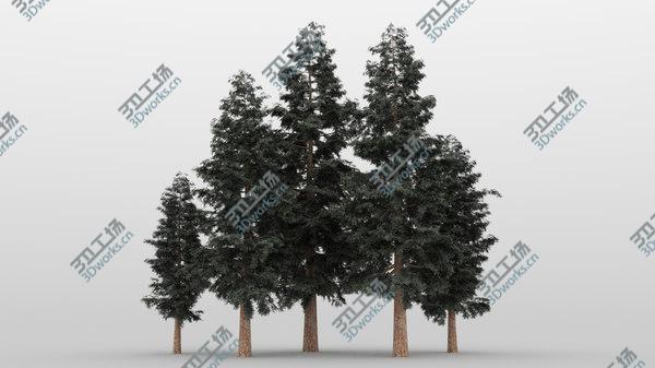 images/goods_img/20210312/40plus40 Conifer Trees 3D model/4.jpg
